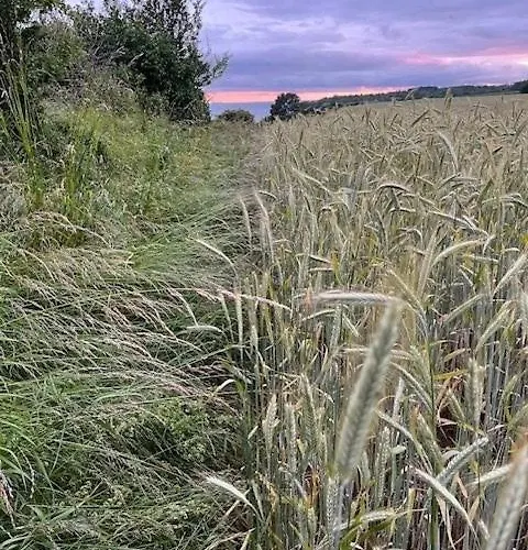 With Extraordinary Sea View At Rosnaes بيت للعطل كالوندبورج